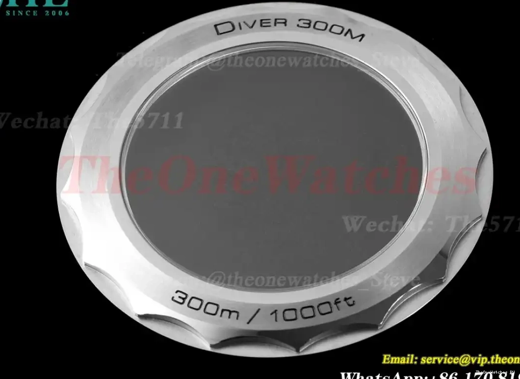 Asia SS ORF 300m Seamaster 2018 Black SS 8800 0429